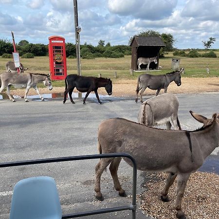 New Forest View Beaulieu Exterior foto